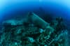 Solomon Islands scuba diving 7