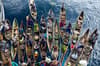 Solomon Islands scuba diving 9