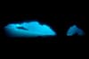 Malapascua_GatoSharkTunnel_4
