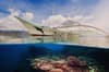 Magic Island Moalboal Philippines 14