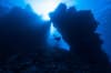 Saudi Arabia scuba diving 19