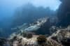 Praslin La Digue Scuba Diving 5