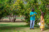 Four Seasons Nevis 36