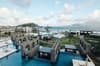 Park Hyatt St Kitts 8