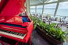 Calabash Cove Resort 7