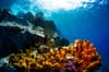 St Lucia Scuba Diving 9