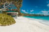 Bequia Beach Resort 6