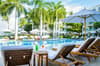 The Palms 4
