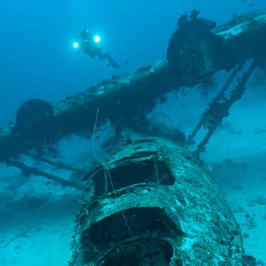Discover WWII wrecks in Manokwari and Biak Image