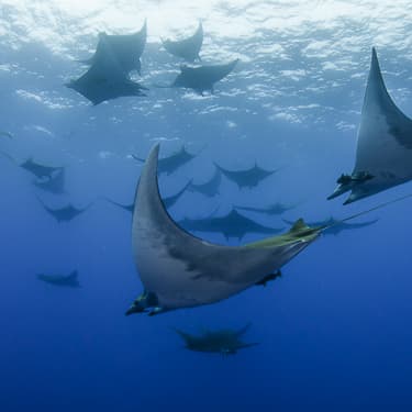 Explore remote offshore banks Image