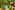 Hamanasi Dive Adventure Resort Belize 7