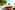 Portofino Beach Resort Belize 39