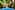 Steve Beckys Belize 11