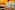 Djambo Bonaire Resort 14