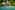 Wakatobi Resort 11