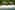 Wakatobi Resort 14