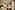 Almonda liveaboard 16