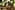 Dusit Thani Maldives 20