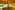 Safari Island 39
