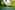 Paradise Island 30