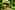 Walindi Plantation Resort 10