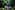 Walindi Plantation Resort 25