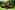 Walindi Plantation Resort 7