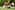 North Island Seychelles 33