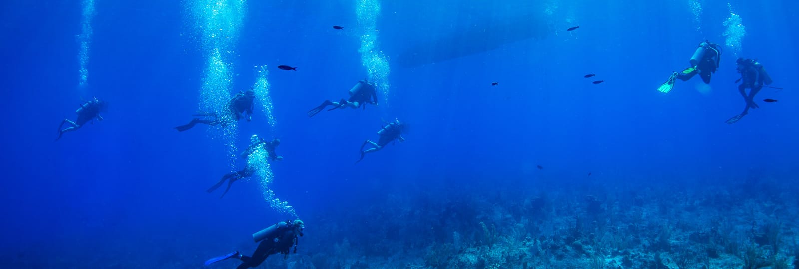 Cayman Aggressor IV