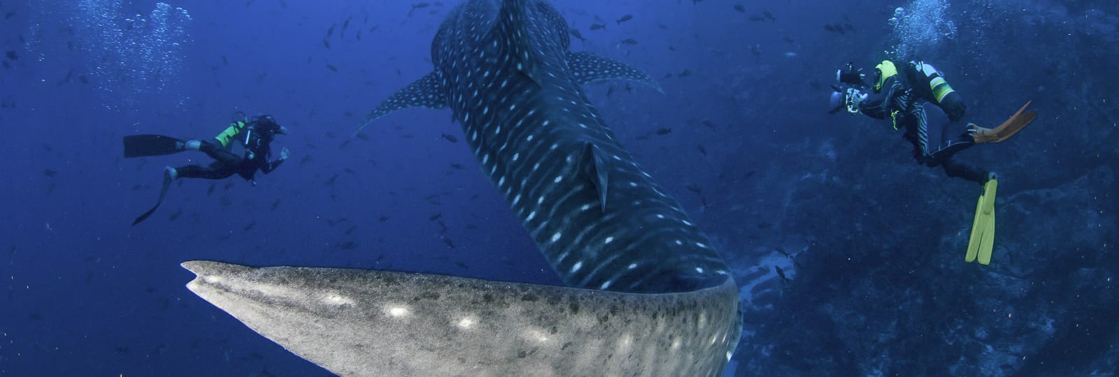 Sea Hunter