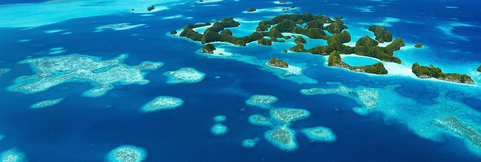Palau Aggressor II