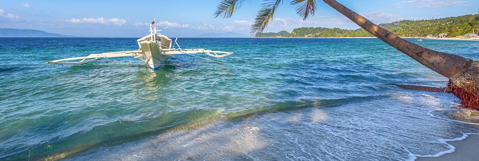 Palau Sport