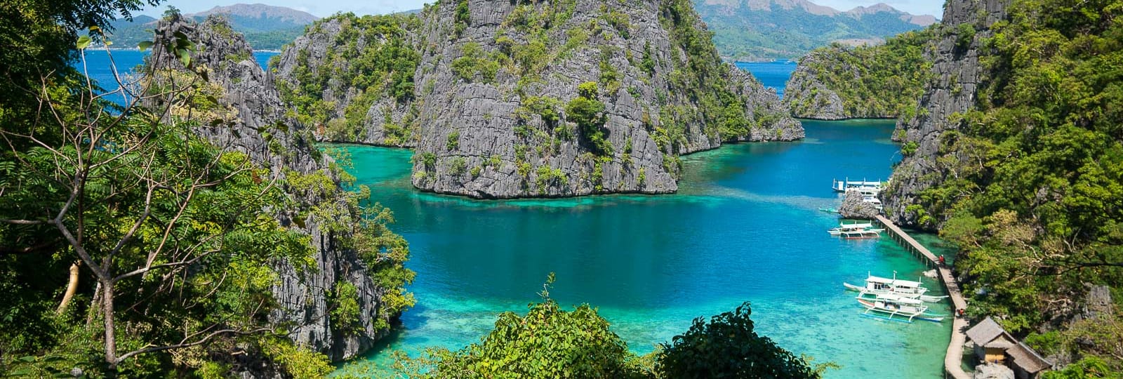 Palau Sport
