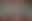 Rascal