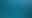 Maldives Whale Shark Research Programme | Ecoventure