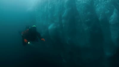Guide to cold water diving - for scuba divers on polar cruises