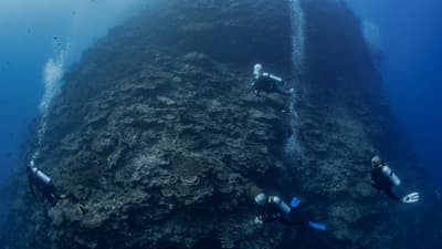 Popular liveaboard itineraries in Papua New Guinea