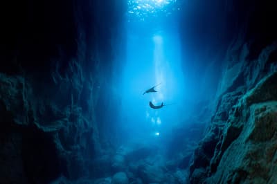 Scuba diving the reefs, seamounts and wrecks of the Azores
