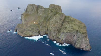 What makes diving at Malpelo different from other Eastern Pacific Islands?