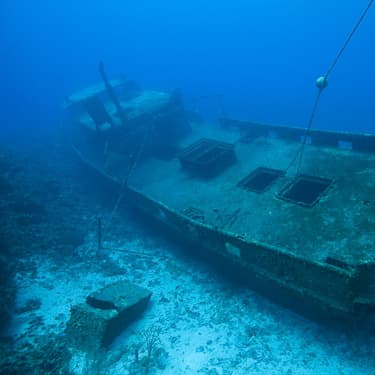 Explore Roatan’s shipwrecks, purposefully sunk for divers Image