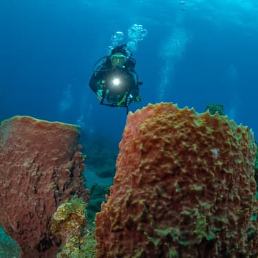 Immerse yourself in expansive marine parks Image