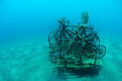 Biorock - is this the future of coral reef restoration?