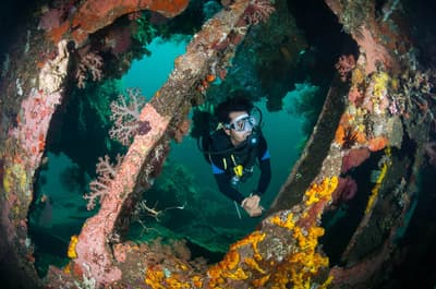 Diving the USS Liberty wreck in Tulamben, Bali