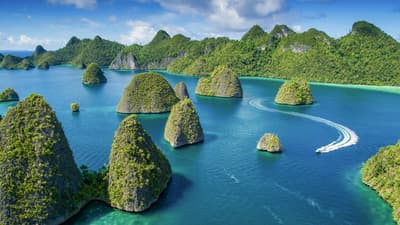 Scuba diving in Raja Ampat – from a dive resort or liveaboard?