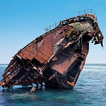 Dive the Shipyard in Lhaviyani Atoll Image