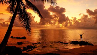 What to do in Fiji when you’re not diving with sharks?