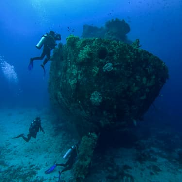 Discover dozens of diveable WWII wrecks Image