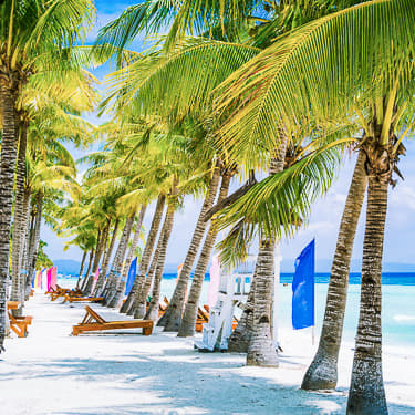 Dive all day, party all night at Alona Beach Image