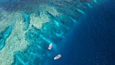 Frontier scuba diving in the Seychelles’ Outer Islands