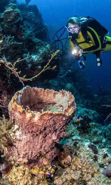 Glover's Reef
